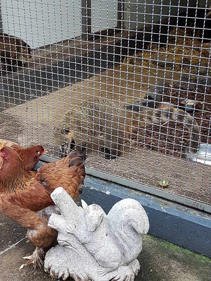 Biggest pet shop in the world